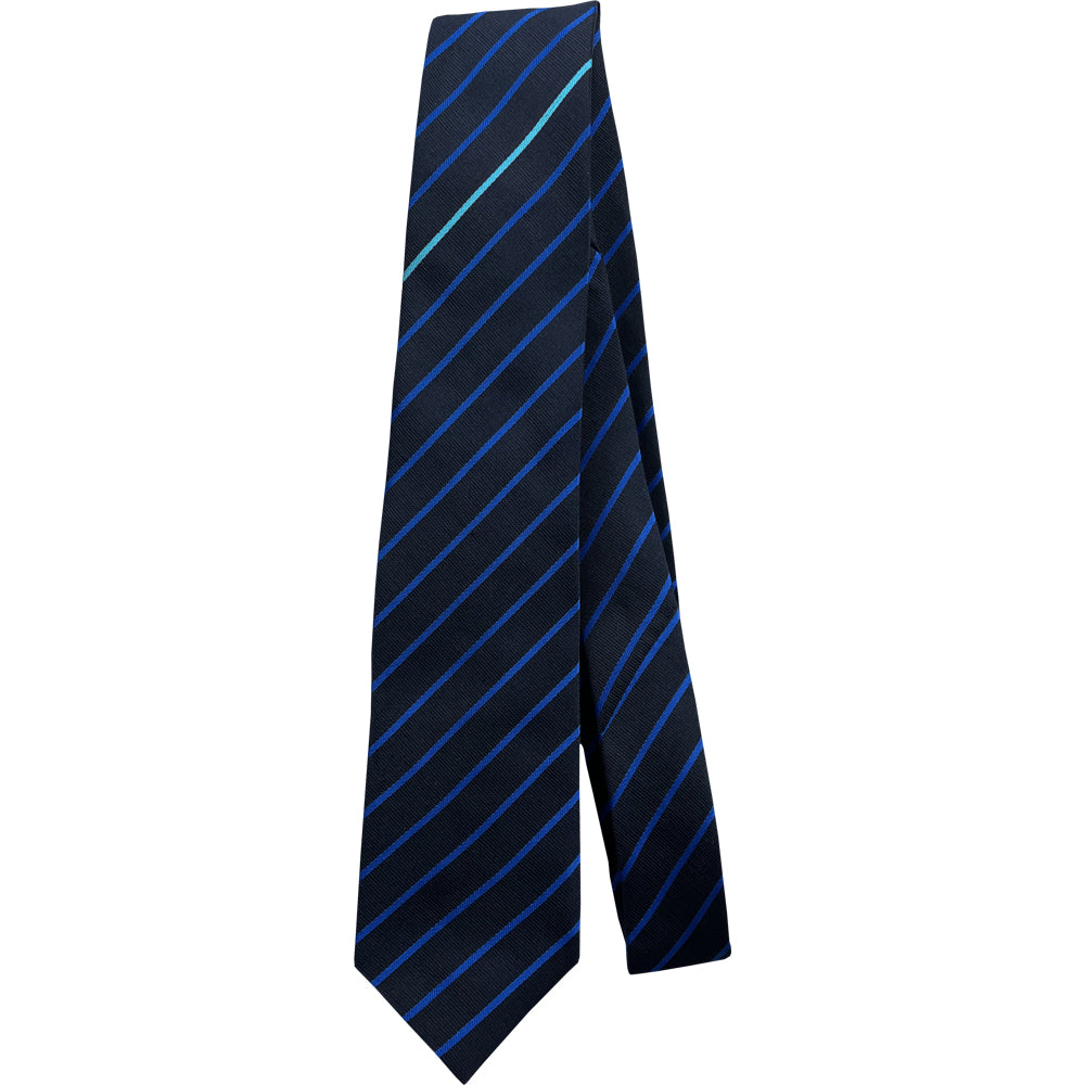 
                  
                    Ysgol Clywedog Navy and blue striped tie with light blue house stripe
                  
                