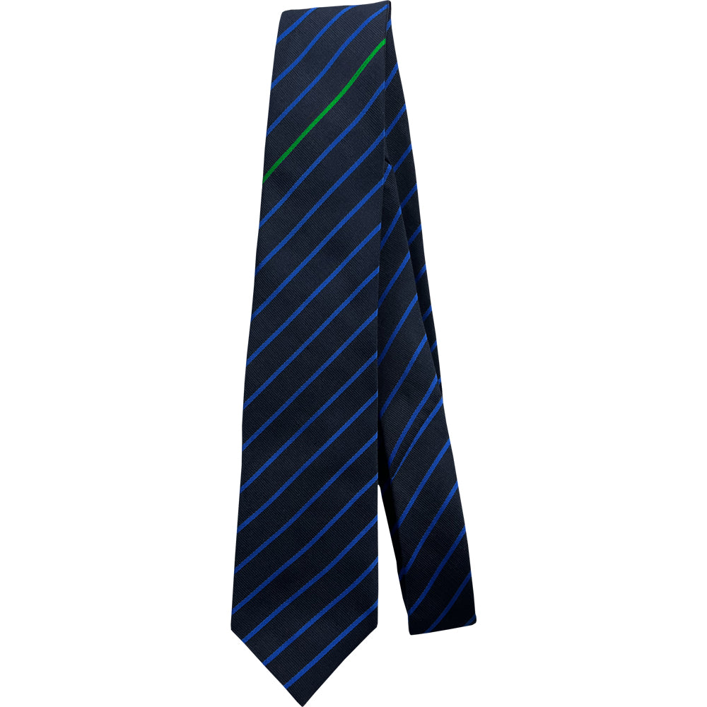 
                  
                    Ysgol Clywedog Navy and blue striped tie with green house stripe
                  
                