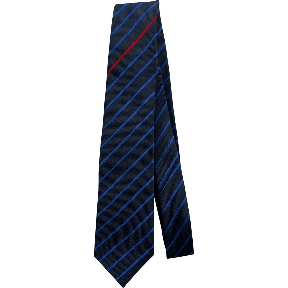
                  
                    Ysgol Clywedog Navy and blue striped tie with red house stripe
                  
                