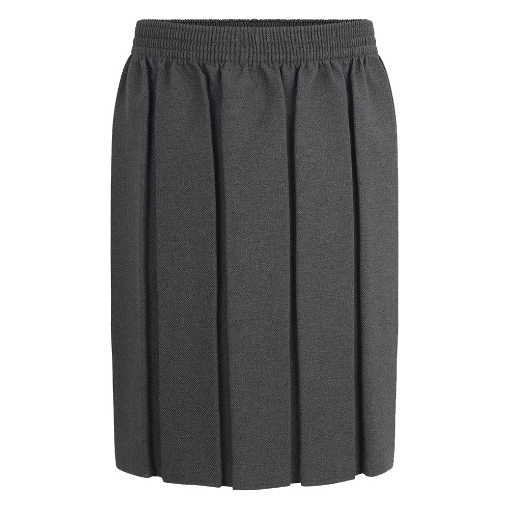 
                  
                    A grey pleated primary school skirt featuring a comfortable elastic waistband. The skirt has several vertical pleats.
                  
                