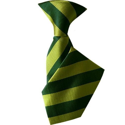 Acton Park Clipon Tie
